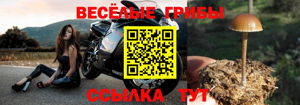 Новоалтайск  Галлюциногенные грибы Psilocybine cubensis  Вход с VPN  Псилоцибиновые грибы Magic Shrooms 
